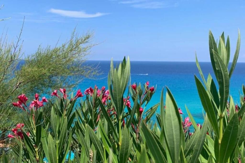 Boutique Apartment With Beach Within Walking Distance, Near Tropea Parghelia Eksteriør billede
